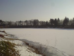 DSC00882