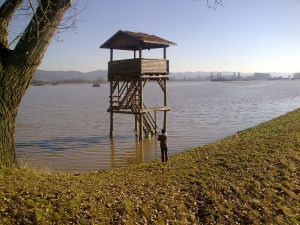 Weschnitzhochwasser 2011 - 1